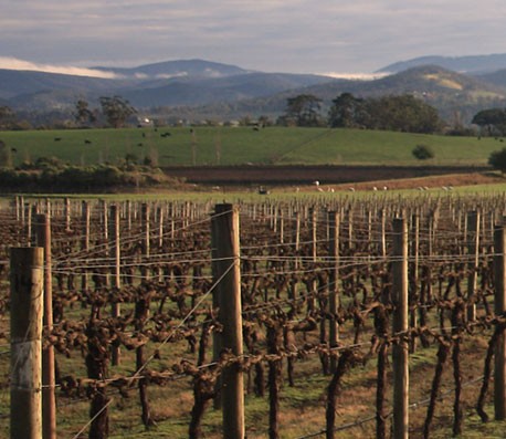 超强兼容可靠的ddos攻击在哪能买到