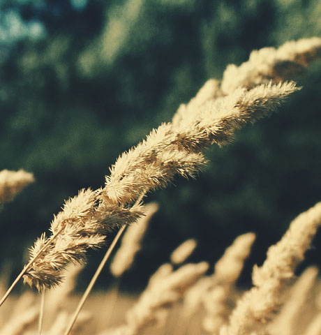 稳定的购买网站推荐的DDOS在线压力测试